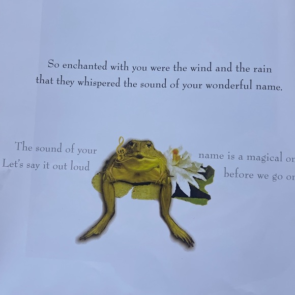 On The Night You Were Born Book - Picture 4 of 8